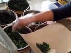 pecel-madiun_20160429_112721.jpg