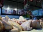 pedagang-ayam-potong-pasar-oro-oro-dowo-malang_20230519_154842.jpg