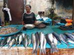 pedagang-ikan-111.jpg