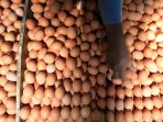 pedagang-telor-ayam-negri-pasar-simpang-bandung_20150806_155937.jpg