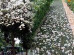 pegipegi-201218-2.jpg