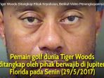 pegolf-dunia-tiger-woods-ditangkap-pihak-kepolisian-berikut-video-penangkapannya_20170602_174711.jpg