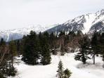 pegunungan-alps-utara-di-kota-takayama-perfektur-gifu_20160105_115745.jpg