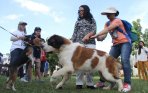 pekanbaru-dogs-day-2014_20141110_201527.jpg