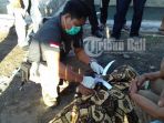 pekerja-proyek-tewas-gantung-diri_20170305_070824.jpg