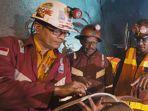 pekerja-pt-freeport-indonesia.jpg