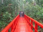 pelawan_20160716_181837.jpg