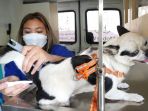 pelayanan-k-mobile-vet-di-kompleks-batununggal-bandung_20221118_213747.jpg