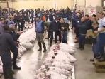pelelangan-di-pasar-ikan-tsukiji_20180105_092749.jpg