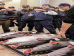pelelangan-ikan-di-kobe-jepang.jpg