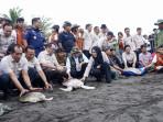pelepasan-tukik-11.jpg