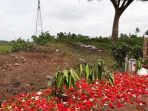 pemakaman-tiara_20180214_143925.jpg