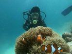 pemandangan-bawah-laut-di-kawasan-pulau-palambak-kecamatan-pulau-banyak.jpg