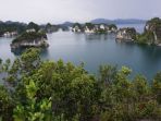 pemandangan-dari-atas-bukit-raja-di-teluk-kabui-raja-ampat-papua-barat_20181024_140857.jpg