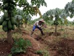 pemanfaatan-sampah-plastik-dan-organik-perumahan-vida-bekasi_20160319_213613.jpg