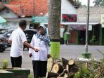 pemangkasan-pohon-trembesi-gor-tri-sanja-slawijpg.jpg