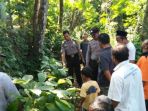 pemanjat-kelapa_20170515_145402.jpg