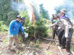 pembakaran-ladang-ganja-di-aceh-besar-2.jpg