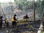 pembakaran-lahan-di-rokan-hulu_20170604_143603.jpg