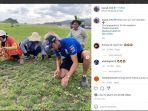 pembalap-yamaha-toprak-razgatlioglu-melakukan-aktivitas-memotong-rumput.jpg