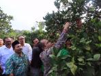 pembangunan-desa_20150902_085744.jpg