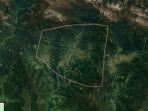 pembantaian-di-nduga-papua.jpg