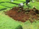 pembongkaran-empat-makam-fiktif-di-tpu-kampung-kandang_20160803_233705.jpg