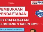 PPG Prajabatan Gelombang 3: Kriteria, Tahapan Seleksi, dan Pendaftaran