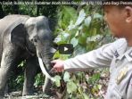 pembunuhan-gajah-bunta_20180614_132605.jpg
