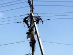 pemeliharaan-jaringan-listrik-pln-di-samarinda_20190829_225213.jpg