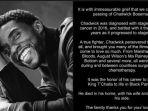 pemeran-black-panther-chadwick-boseman.jpg