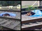 pemiliknya-tewas-tertabrak-kereta-anjing-ini-tetap-setia-di-sampingnya-dan-menolak-dipindahkan.jpg
