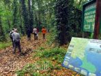 pemkab-banyuwangi-akan-membangun-jalan-menuju-alas-purwo_20170615_223639.jpg