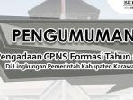 pemkab-karawang-buka-294-formasi-cpns-2024.jpg