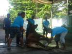 pemotongan-hewan-kurban-muhammadiyah-tebet_20150923_092727.jpg