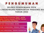 pemprov-bali-buka-2448-formasi-pppk-2023.jpg
