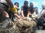 pemusnahan-54-kilogram-ganja-kering-asal-aceh_20161115_234417.jpg
