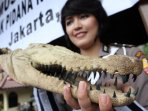 pemusnahan-kejahatan-sumber-daya-alam_20160202_154814.jpg