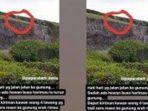 penampakan-harimau-di-gunung-dempo.jpg