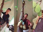 penampakan-rumah-unik-yang-ditumbuhi-pohon-nangka-di-dalamnya-ternyata-ada-mangga-dan-cempedak-juga.jpg