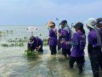 penanaman-1000-bibit-pohon-mangrove-di-pulau-pramuka-kepulauan-seribu.jpg