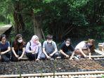 penanaman-1454-bibit-mangrove-up-mulya.jpg