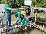 penanaman-mangrove-di-muara-sungai-kali-terang-manggarai-barat.jpg