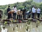 penanaman-mangrove-nih.jpg