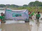 penanaman-pohon-milo-green-activ.jpg