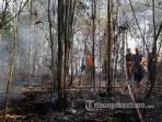 penanganan-kebakaran-hutan-dan-lahan_20160913_111521.jpg