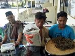 penangkapan-pengedar-ganja_20170920_204938.jpg