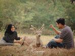 penangkaran-rusa-cariu.jpg
