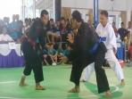 pencak-silat_20151115_114335.jpg