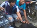 pencuri-kambing-bekasi_20160626_123949.jpg